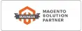 Magento Partner