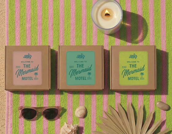 Coal and Canary home goods and decor store