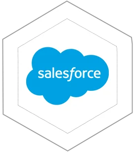 Salesforce Consulting