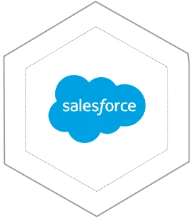 Salesforce Development